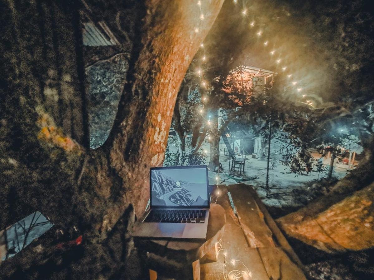 Pemsee'S Tree Town - Eco-Friendly,Tree House Hostel Саураха Екстериор снимка