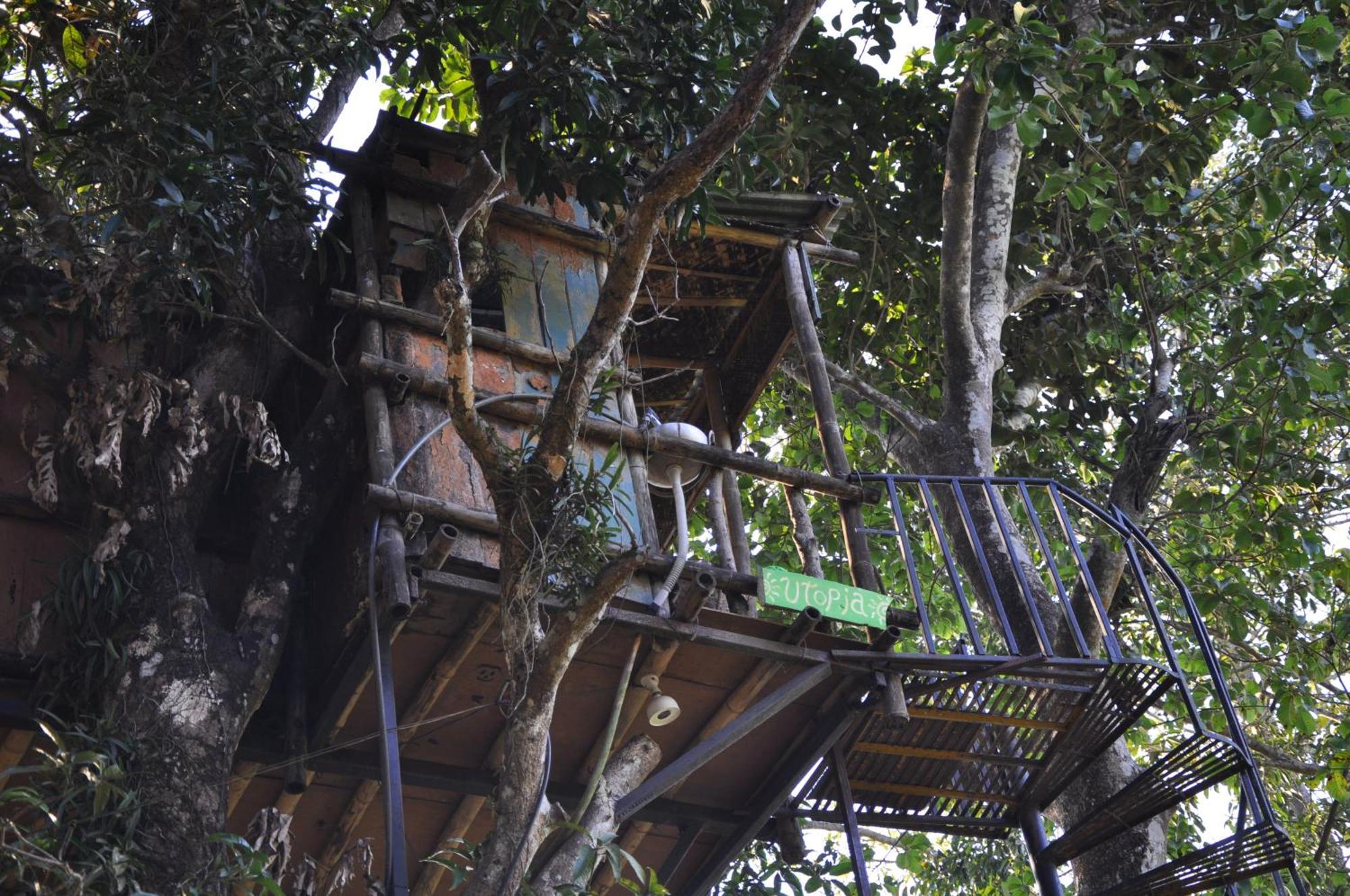 Pemsee'S Tree Town - Eco-Friendly,Tree House Hostel Саураха Екстериор снимка