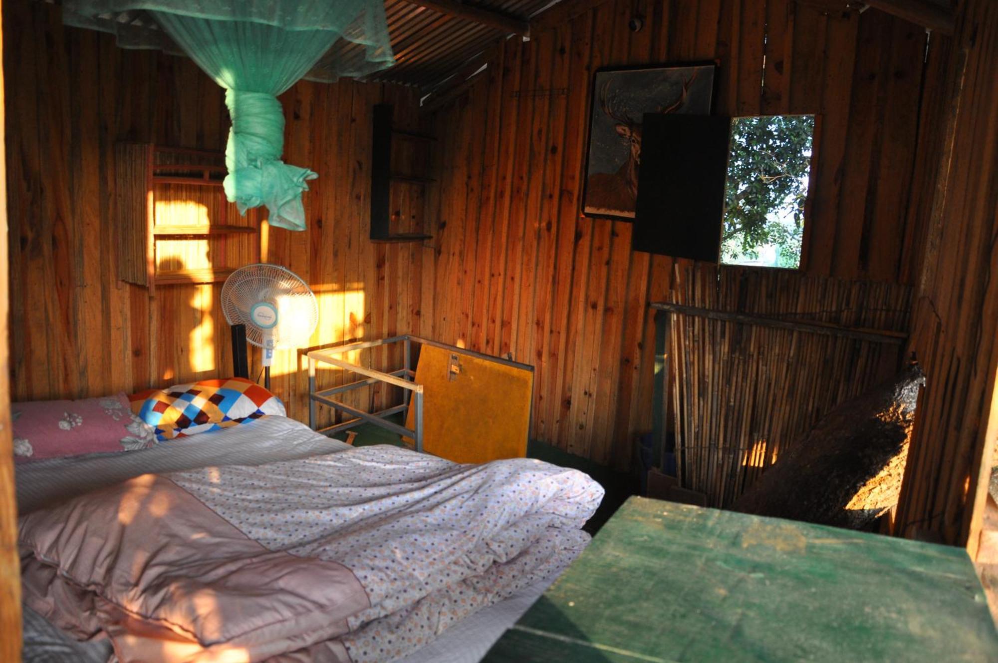 Pemsee'S Tree Town - Eco-Friendly,Tree House Hostel Саураха Екстериор снимка