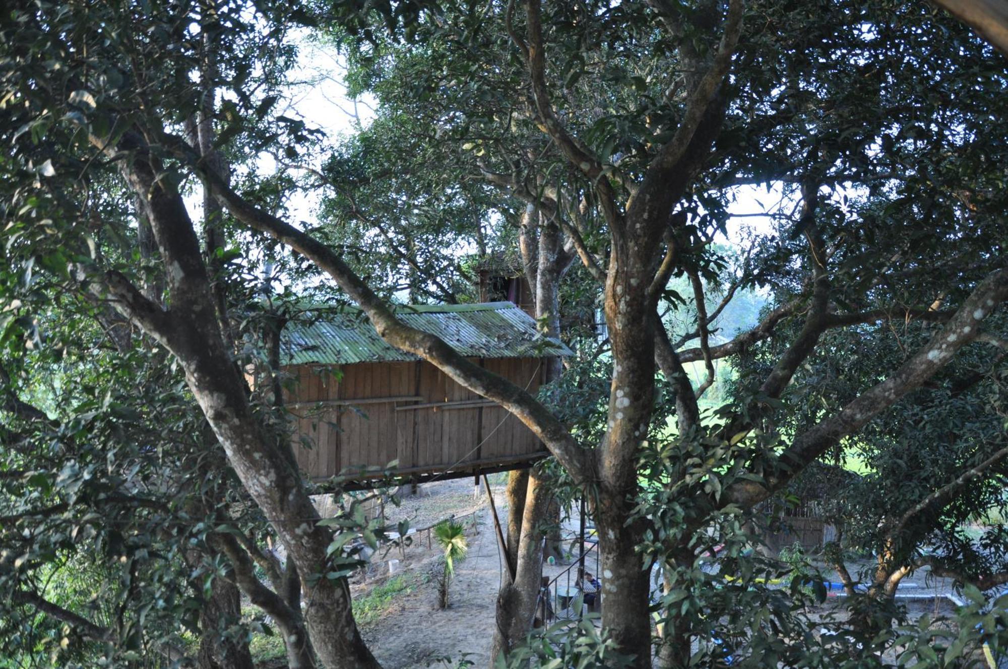 Pemsee'S Tree Town - Eco-Friendly,Tree House Hostel Саураха Екстериор снимка