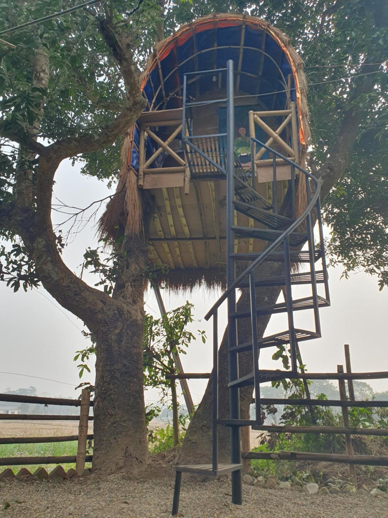 Pemsee'S Tree Town - Eco-Friendly,Tree House Hostel Саураха Екстериор снимка