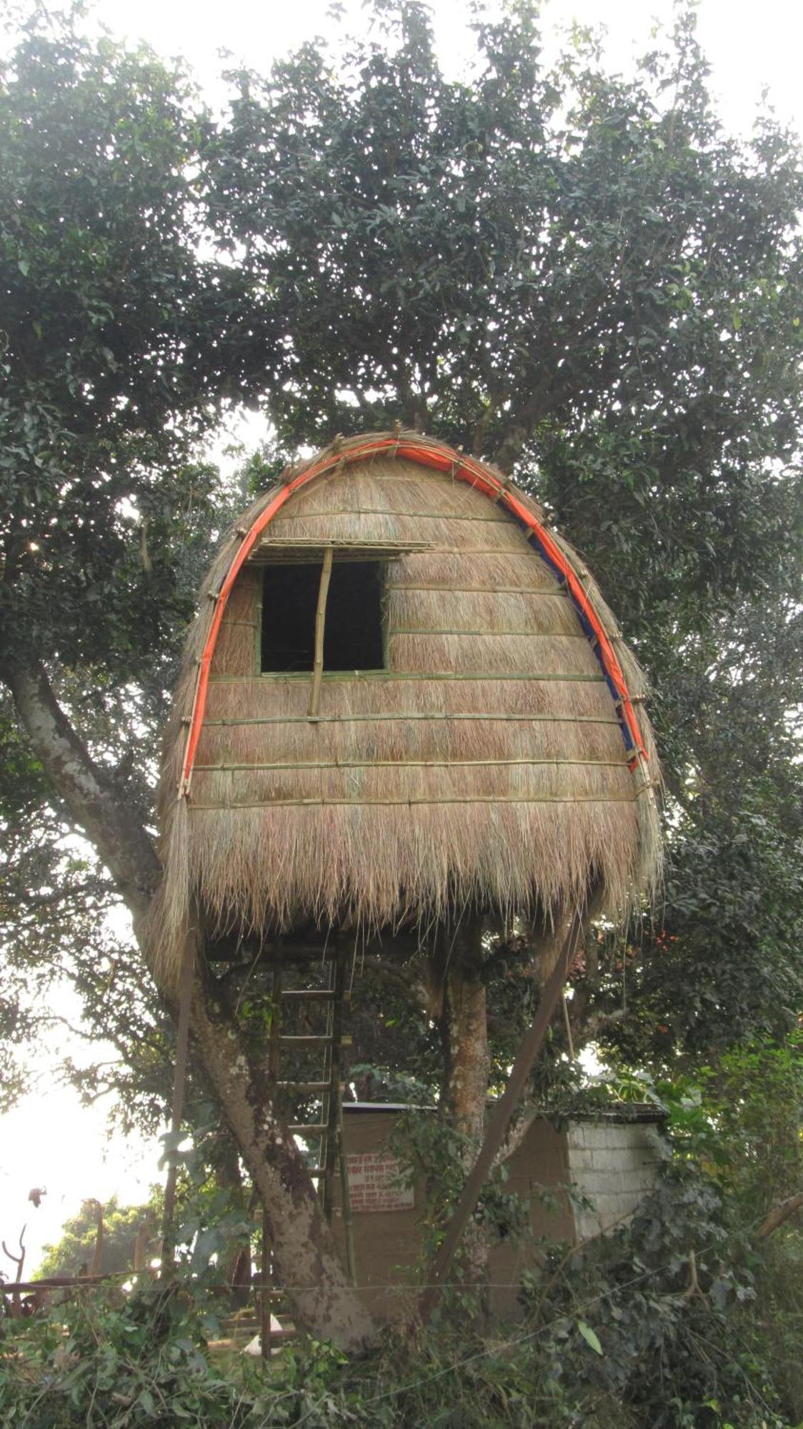 Pemsee'S Tree Town - Eco-Friendly,Tree House Hostel Саураха Екстериор снимка