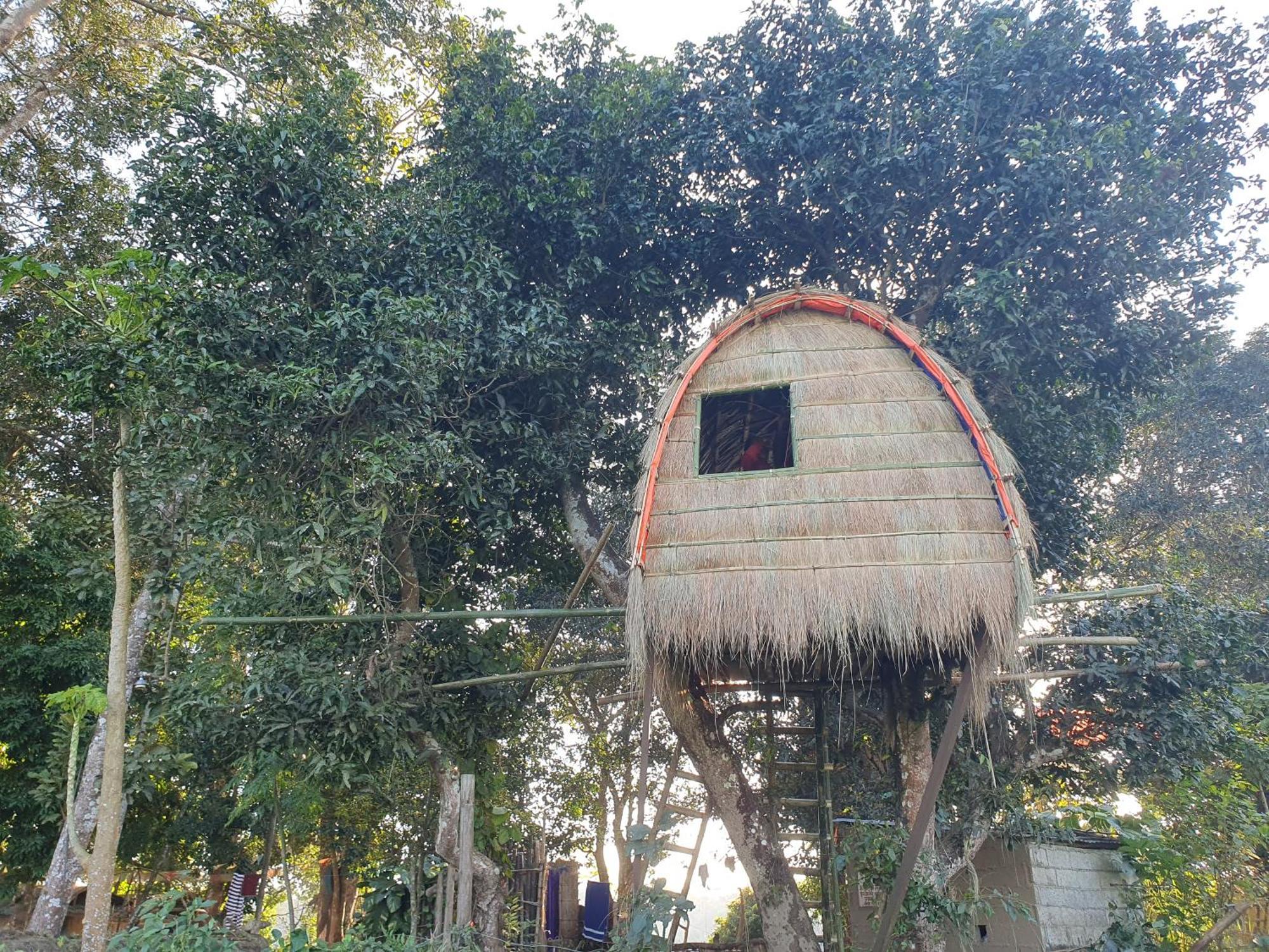 Pemsee'S Tree Town - Eco-Friendly,Tree House Hostel Саураха Екстериор снимка